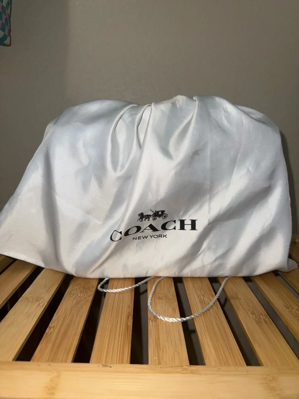 Coach Cassie - Picture 2 of 8